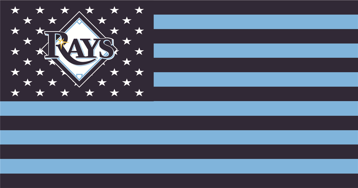 Tampa Bay Rays Flags fabric transfer